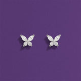 Clous d'Oreilles Papillon - argent